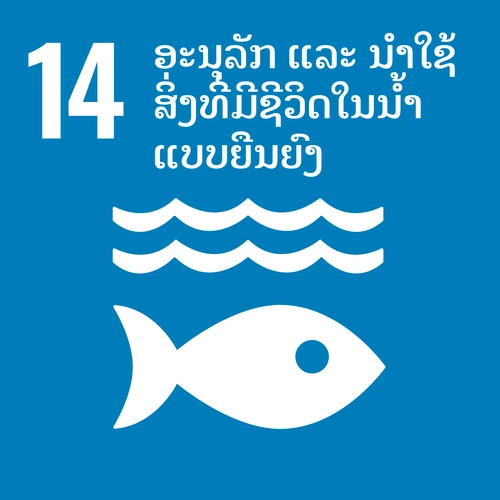 Info Image 14