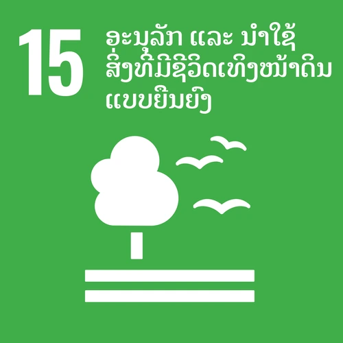 Info Image 15