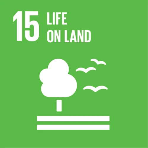 Info Image 15