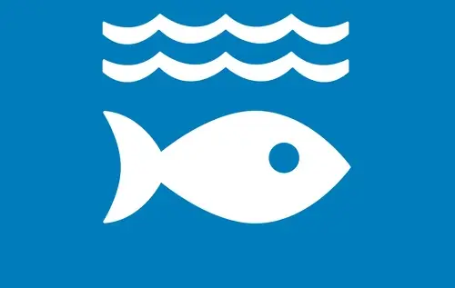 Info Image 14